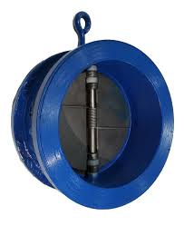 CS Check Valve